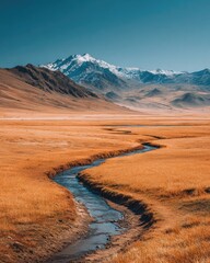 Winding Stream Through Golden Plains to Snowy Peaks