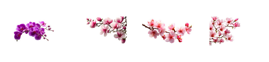 Assortment of blooming floral branches and orchid spray, cut out transparent