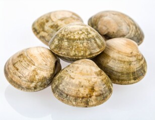 A group of six fresh clams with light brown patterned shells, clustered together