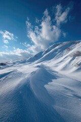 Frozen Landscape with Clouds
