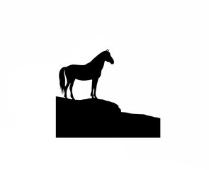 Majestic horse standing on a cliff edge at sunset side view