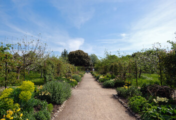 Path through the walled garden at West Dean Gardens with daffodils, flowering shrubs and blossoming fruit trees.