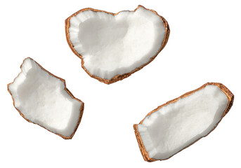 Fresh coconut meat isolated on white background, top view.