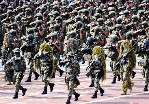 Soldiers in camouflage uniforms stand in formation during military parade