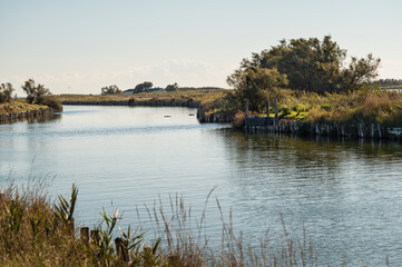 nature sceneries inside the Po river Delta lagoon during an autumnal afternoon, Comacchio, Ferrara, Italy