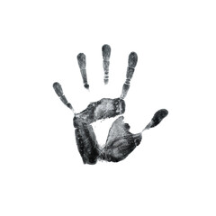 Translucent human handprint with distinct palm lines, slowly fading with evaporation on a foggy window pane with fine condensation, against a plain transparent background and bright diffused