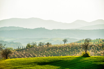 Obraz premium Rolling hills and autumn countryside in Massa Martana, Umbria, Italy, with layered mountains, trees, and soft golden light