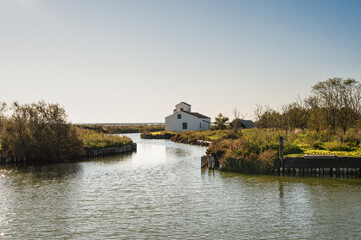 Fototapeta premium nature sceneries inside the Po river Delta lagoon during an autumnal afternoon, Comacchio, Ferrara, Italy