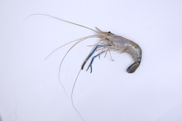 fresh river shrimp