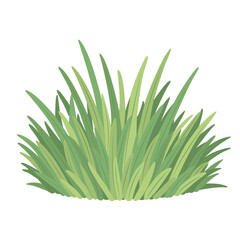 Flat vector illustration of dense bushy green grass plant, ideal for decoration in nature, garden, and outdoor landscape scenes.