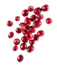 falling cranberries isolated on white or transparent png