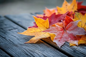 Obraz premium Frost-covered autumn leaves rest on a weathered wooden surface, showcasing vibrant fall colors.