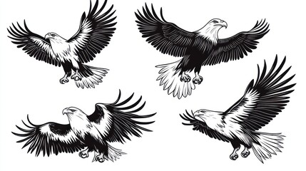 Obraz premium Four monochrome illustrations of eagles in flight, depicted in various dynamic poses with detailed feathering