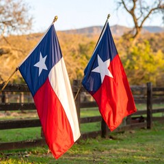 Two Texas flags hang gently on wooden posts outside against a pastoral backdrop of hills and a fence
