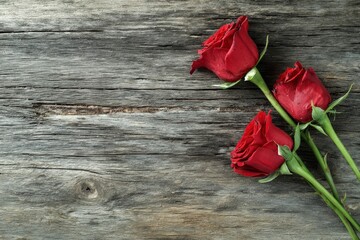 Three red roses lay on a weathered wooden surface