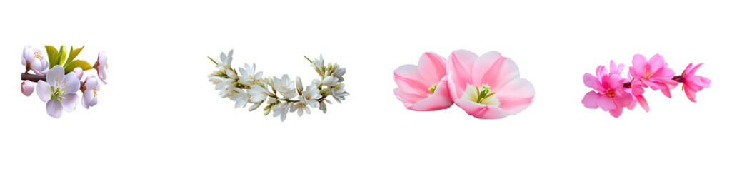 Fototapeta premium Assortment of Blooming Spring and Summer Flowers Against Black Background, cut out transparent