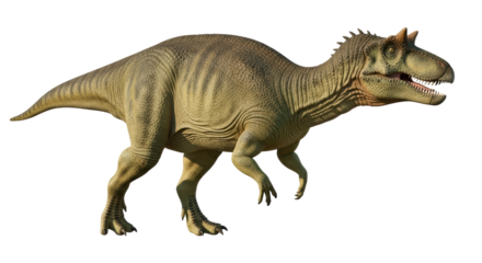 Isolated allosaurus dinosaur