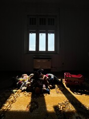 Sunlit room with stuffed animals and toy bus