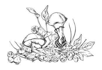 Suillus larch bolete slippery jack mushroom, blueberry blackberry berries. Fungi on top of fallen autumn leaves with twigs needles. Hand drawn vector ink Illustration. Autumn forest natural habitat.