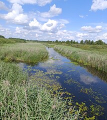 a beautiful summer landscape, a lake, a river, meadows, a forest, space, and a cloudy sky