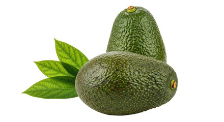 Isolated Two Whole Avocados with Leaves