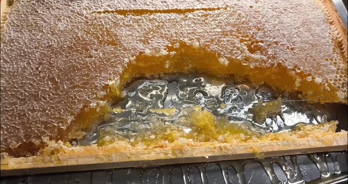 Miel de abeja cruda en panal 