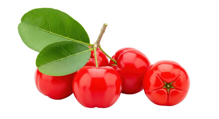 Isolated Acerola Cherry