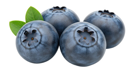 Isolated Group of Fresh Blueberries