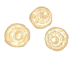 Button mushroom hand drawn with isolated on transparent background.