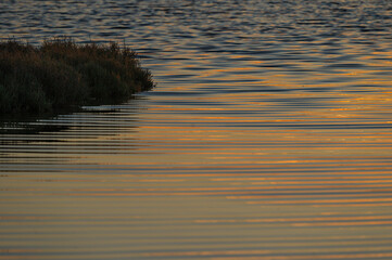 sunset over the lagoon, Po river delta, Comacchio, Ferrara, Italy