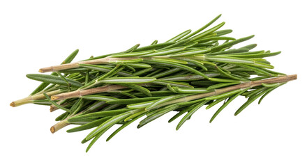 Fototapeta premium Isolated Rosemary