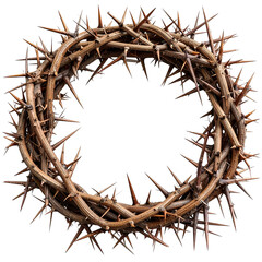 Fototapeta premium Crown of Thorns Isolated On White Background: An intricately woven crown of thorns, symbolizing spiritual significance and sacrifice, showcasing its detailed texture and evocative symbolism.