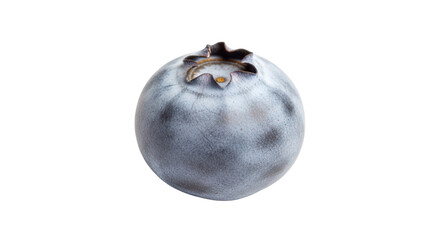 Isolated Blueberry