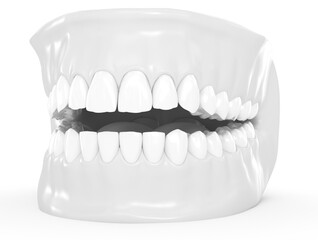 Dental anatomy, white style. 3D illustration