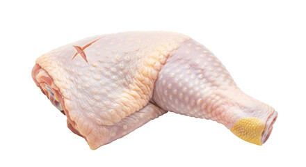Isolated Chicken Leg