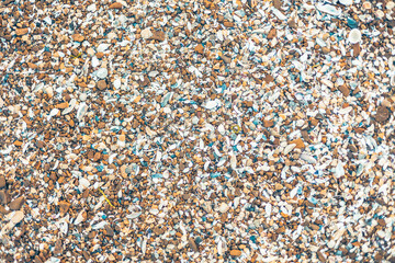 Beach shell rock as background and texture