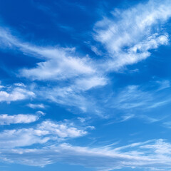 Obraz premium 맑고 청명한 파란 하늘과 흩날리는 구름