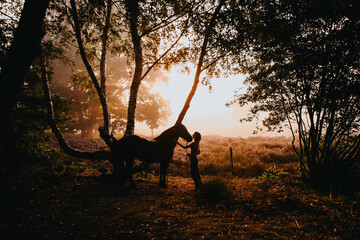 A girl with her horse in the woods during sunrise