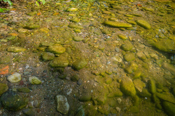 Adda (river)