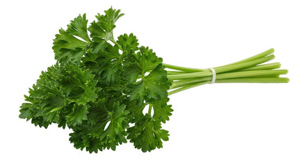 Isolated Parsley