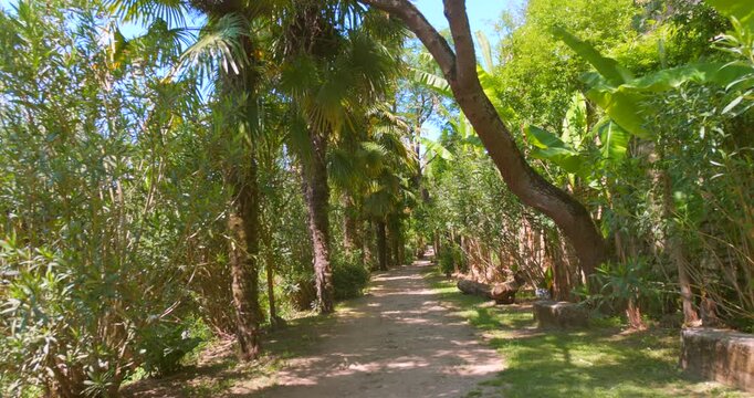 Explore a tranquil pathway in a tropical garden located in Beynac, France, surrounded by lush greenery and vibrant plants. The inviting atmosphere promotes relaxation and appreciation of nature.