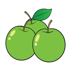 Green plums are tart, crisp, and refreshing fruits with a vibrant green hue, perfect for snacking, pickling, or adding a zesty twist to salads and desserts.
