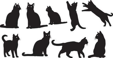 vector illustration of different cat poses