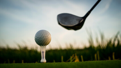 Golf ball on green grass in the evening golf course with sunshine background.