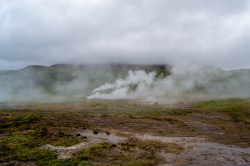 In the center of the frame is a geyser, releasing a column of steam that dissolves into the gray sky. Sulfur deposits color the soil yellow and orange, and sparse plants add contrasting green spots.