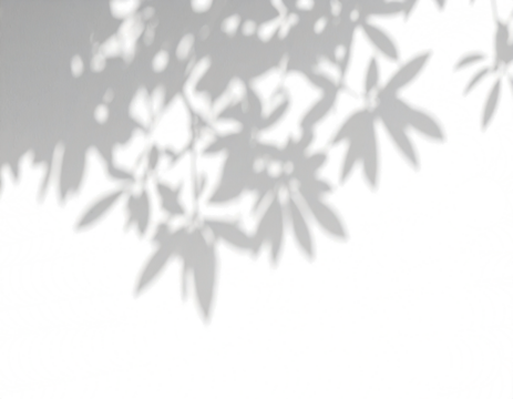 Efectos de superposición de sombras realista de árbol con un ligero desenfoque sobre un fondo transparente, luz solar de verano y efecto de superposición de sombras