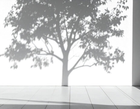 Efectos de superposici&oacute;n de sombras realista de &aacute;rbol con un ligero desenfoque sobre un fondo transparente, luz solar de verano y efecto de superposici&oacute;n de sombras