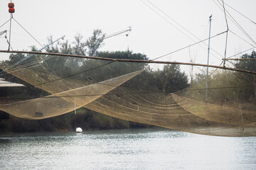 fishing net close up inside the Po river delta lagoon, Comacchio, Ferrara, Italy