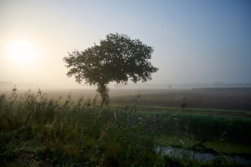 misty morning sunrise