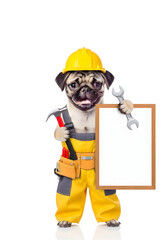 Pug Dog Dressed as Construction Worker Holding Sign and Tools.